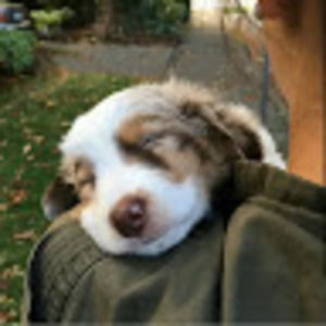 Meet your Posher, Kyuri